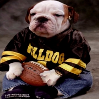 a real bulldog fan