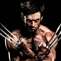 The Wolverine