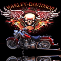 BIKER TO THE BONE
