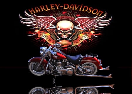 BIKER TO THE BONE - HARLEY, BIKE, MOTORCYCLE, SPOKES