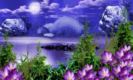 Pretty Night - purple, lake, pretty, fulmoon, flowers