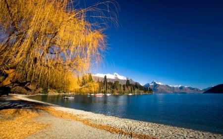 Lake scenery - nice, autumn, sky, water, mirrored, calm, reflection, river, tree, lake, blanches, shore, lovely, willow, serenity, nature, beautiful, tranquil, scenery