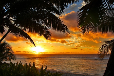 Sunset sky - summer, amazing, beach, shore, exotic, golden, nice, sky, sun, palms, beautiful, vacation, lovely, orange, dazzling, tropics, glow, nature, sunset, tropical, rays