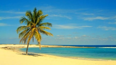 Beach Paradise, Bahamas - white, summer, sea, sand, palm