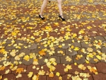 Autumn