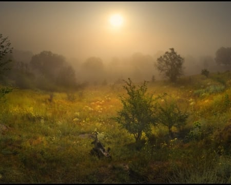 dreamy valley - mistig, dromen, vallei, dreamy valley