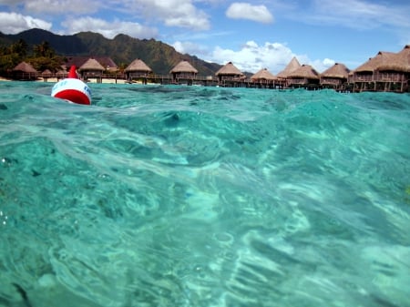 Swimming in the blue lagoon at Moorea Paradise Island - villas, lagoon, blue, pacific, island, french, polynesia, tahiti, aqua, moorea, swimming, holiday, exotic, waters, paradise, swim, south, luxury, bungalows, water, sea, ocean, islands, shallow, tropical, clear