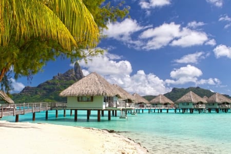 Le Meridien Resort Water Villas over Blue Lagoon Bora Bora Polynesia - beach, aqua, pacific, paradise, water, bungalows, clear, hotel, polynesia, french, bora bora, le meridien, atoll, lagoon, south, resort, sand, palm trees, ocean, islands, tropical, exotic, blue, villas, island, sea, tahiti