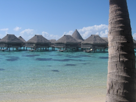 Water Bungalows over Blue Lagoon Moorea Island - beach, pacific, paradise, water, bungalows, hotel, polynesia, coral, french, atoll, lagoon, south, resort, sand, ocean, palm tree, islands, tropical, reef, exotic, blue, beautiful, villas, island, moorea, sea, tahiti