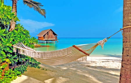 Beach - beach, trees, hammock, hammack, palm, hdr, house, sea, bungalow