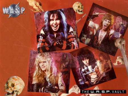 WASP - hard rock, wasp, metal, rock