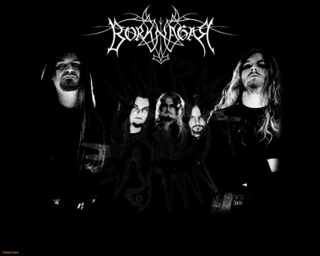 Borknagar - metal, black metal, borknagar, death metal