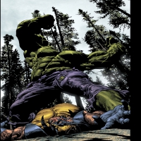 Hulk VS Wolverine