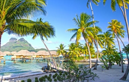 Beautiful Pearl Beach Resort - Bora Bora Tropical Island - Polyneisa - heaven, lagoon, blue, beach, perfect, island, french, polynesia, sand, atoll, exotic, palm trees, paradise, hotel, south, pearl beach, luxury, beautiful, sea, resort, ocean, islands, tropical