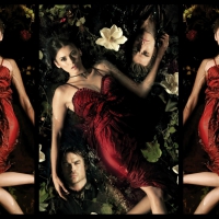 Vampire Diaires (2009-)