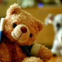 Teddy bear and dog