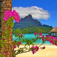 Bora Bora landscape