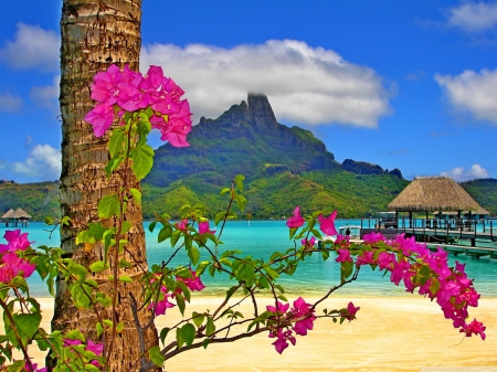 Bora Bora landscape - relax, summer, beach, landscape, island, mountain, flowers, exotic, paradise, nice, sky, sun, palms, water, beautiful, vacation, sea, beauty, lovely, ocean, rest, bora Bora, tropics, nature, tropical, huts, sands