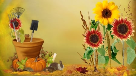 Autumn Bright Colors - pot, rabbit, sunflowers, yellow, summer, harvest, gold, grass, bunny, leaves, fall, tools, autumn, bright, garden, amber