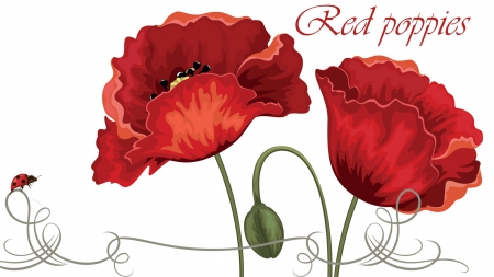 Red Poppies - poppy, poppies, summer, buds, ladybug, script, spring, flowers, red, lady bug, wild flowers