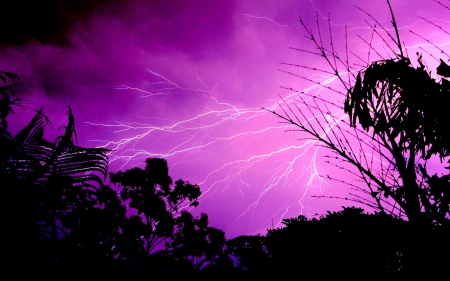 THE ANGER of NATURE - nature, night, lightning, stormy