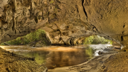 superb grotto in karamea new zealand hdr - trees, river, grotto, hdr, sand