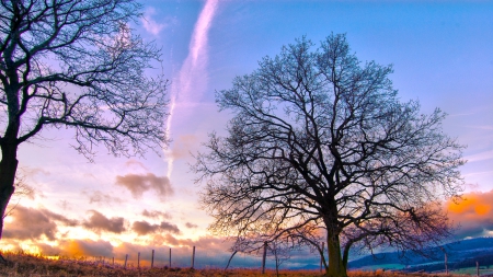 beautiful sky over countryside - clouds, trees, sundown, fields, fence, sky