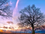 beautiful sky over countryside