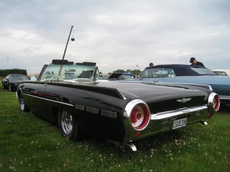 Nasco Yankee Meet Falkoping 2013 - black, people, car, grass, Buick, car-show, sky