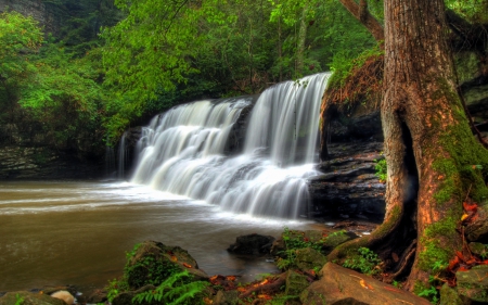 Mardis Mill Falls, Alabama - Forest, Nature, Waterfall, USA