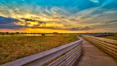 wooden boardwalk over wetlands - wetlands, boardwalk, clouds, wooden, sunset, grass