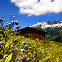 Mountain hut