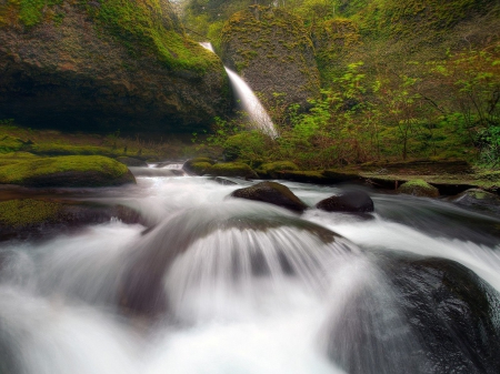 ~Spring In The Columbia~ - spring, columbia, nature, falls