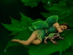 Sleeping Fairy