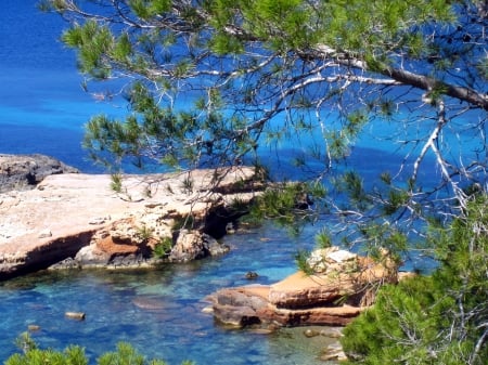 View - abstract, blue, view, photography, ocean, tree