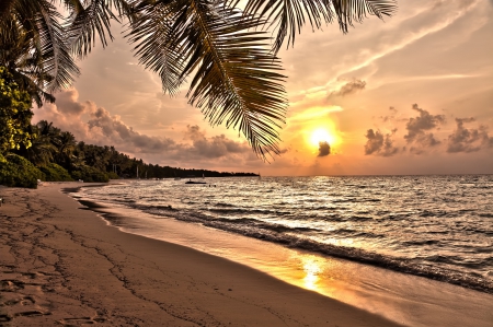 Sunset at Maldives - sky, beach, sun, palm, sea