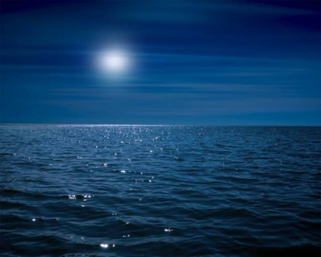 Moonlight over the sea - sky, beautiful, blue, night, moonlight, sea