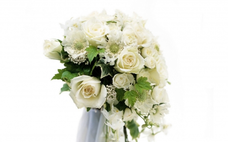 Bouquet - white, rose, petals, flowers, bouquet