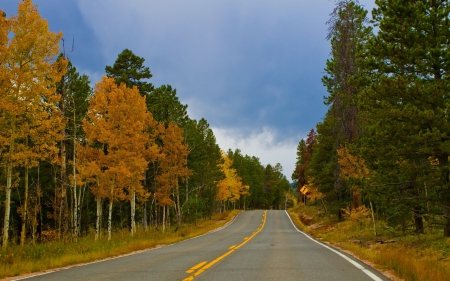 Country Road - sky, forest, trees, road