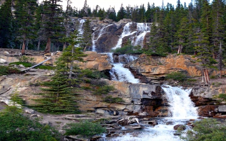 Tangle Waterfalls, Alberta - Trees, Mountains, Waterfalls, Canada