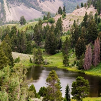 Yellowstone National Park