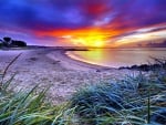 superb colorful sunset over a beach hdr