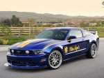 2011 Ford Mustang Blue Angels