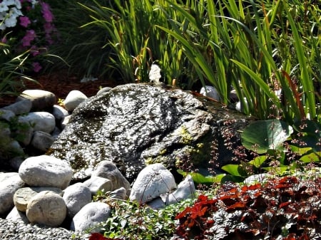 pretty water garden - flowers, water garden, water, rocks