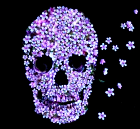 Violets In Absentia - Violets, Death, Sugar Skull, Skull, Flowers, Lavender