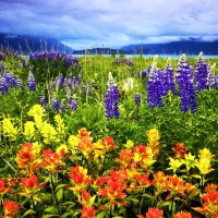 Glacier Bay National Park, Alaska