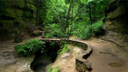 gorgeous nature walk around a river gorge in forest - gorge, forest, trail, wall, river