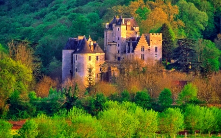 Castle - photo, castle, trees, hdr, autumn