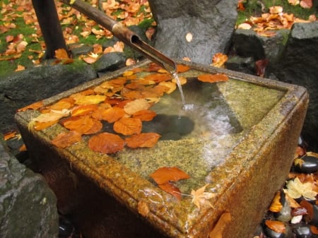 The Cistern - pretty, Autumn, Cistern, water, fountain, beautiful, Fall, beauty, lovely, peace, nice, fall colors, peaceful