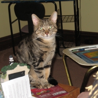 You Will Obey Me!!!